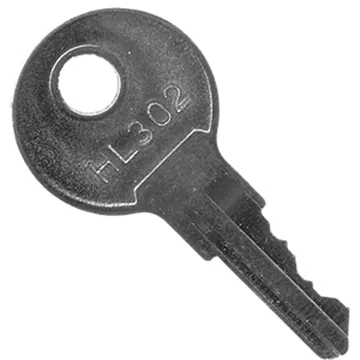 HL302 Time Clock Key, photo 1